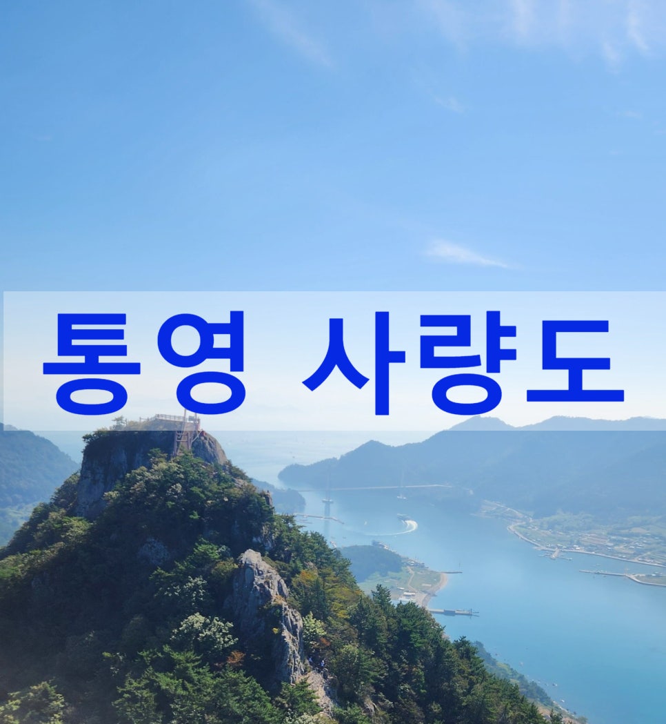 통영활어회도매센타 이미지