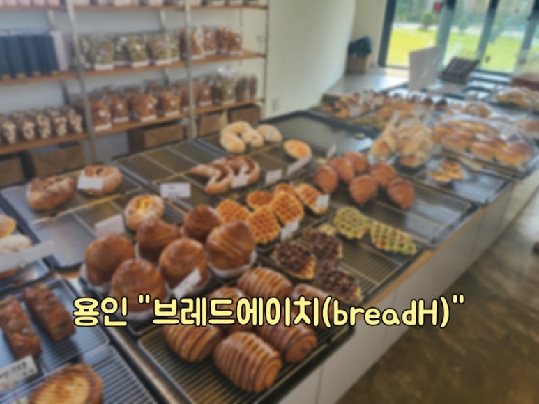 브레드.에이치(Bread.H) 이미지