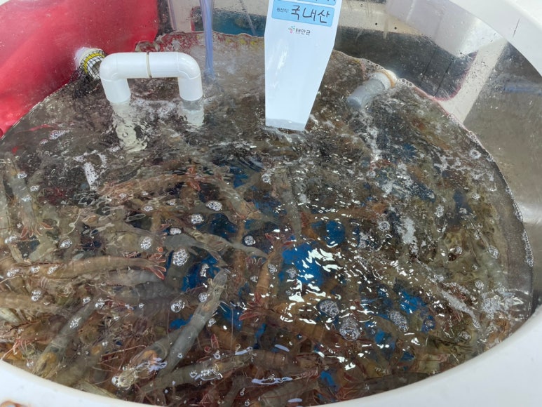 용성수산 이미지