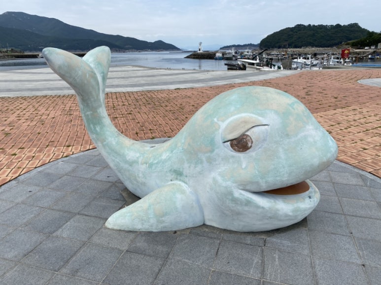 술상바다횟집 이미지