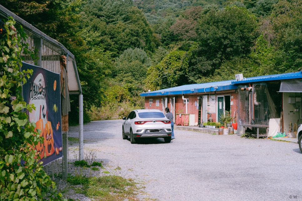 산으로간니모 이미지
