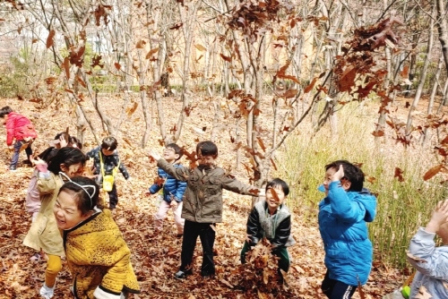 월드컵공원 유아숲체험원 이미지