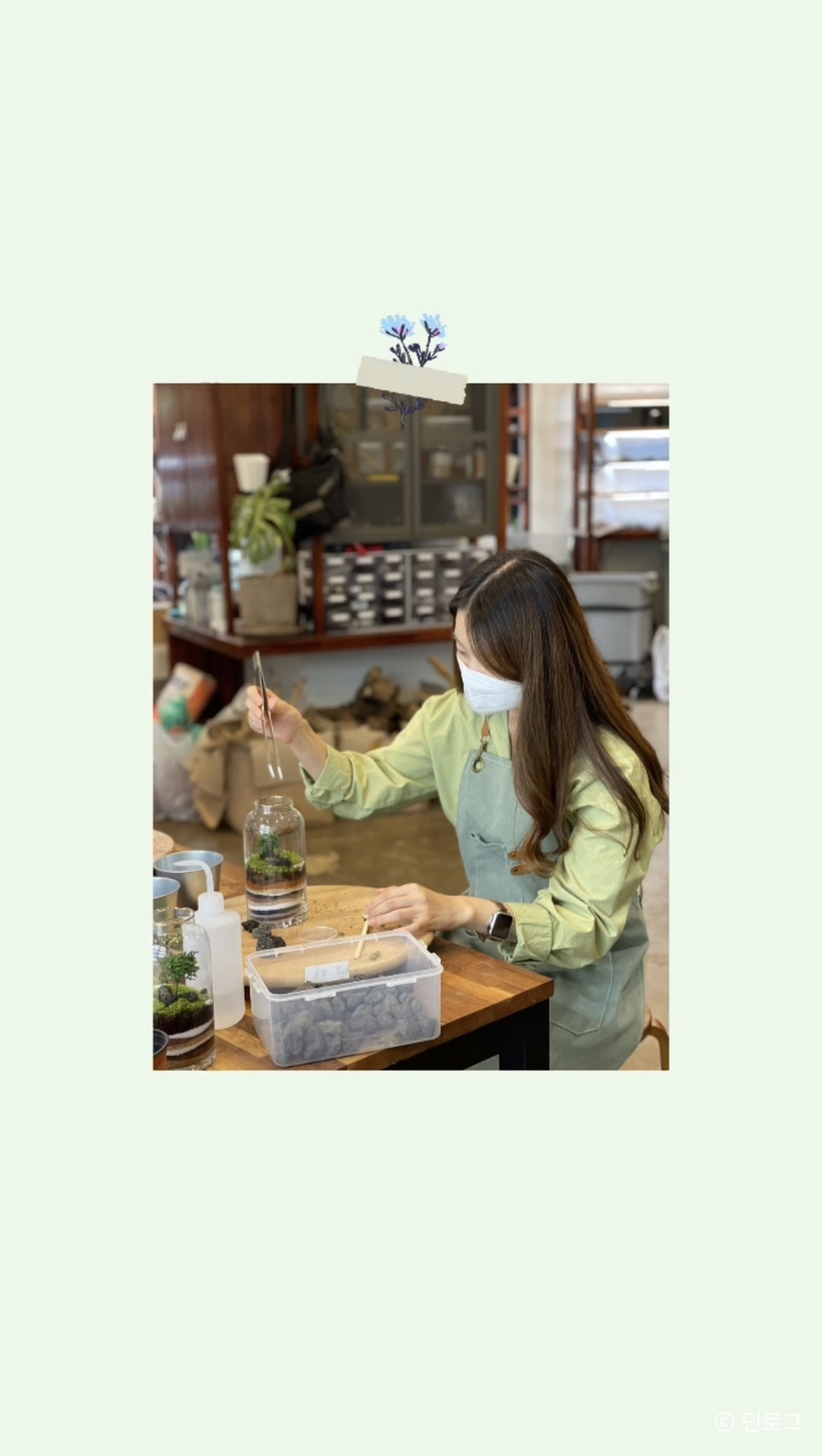 마이온네이처 이미지