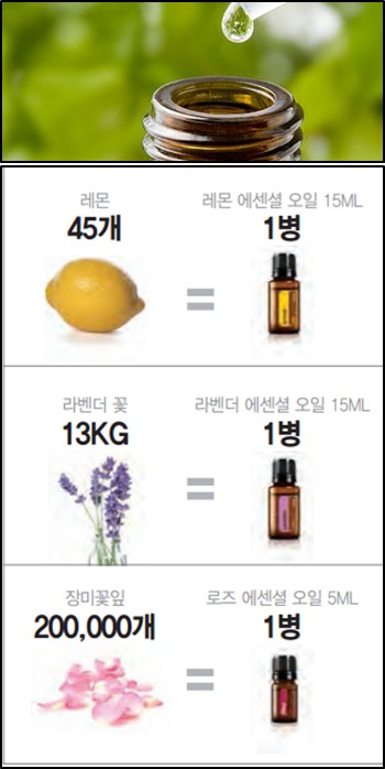 향기나는세상 이미지