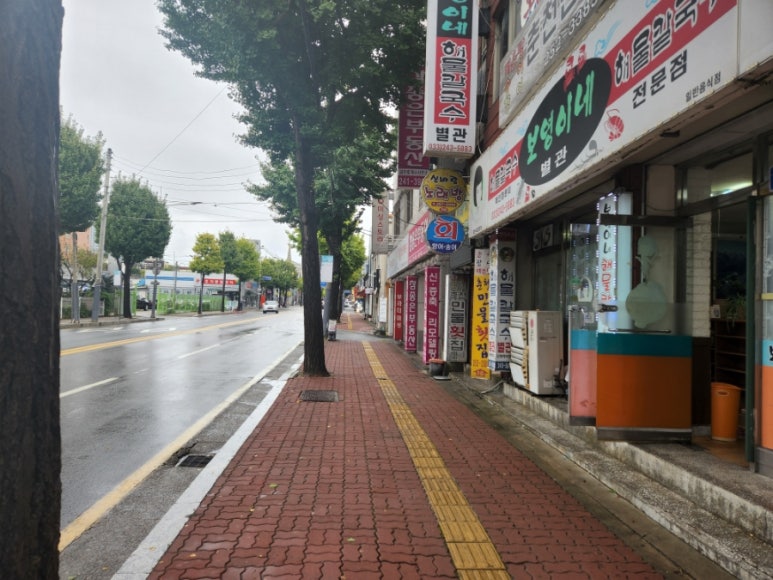 보영이네해물칼국수 이미지