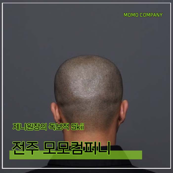 모모컴퍼니 이미지
