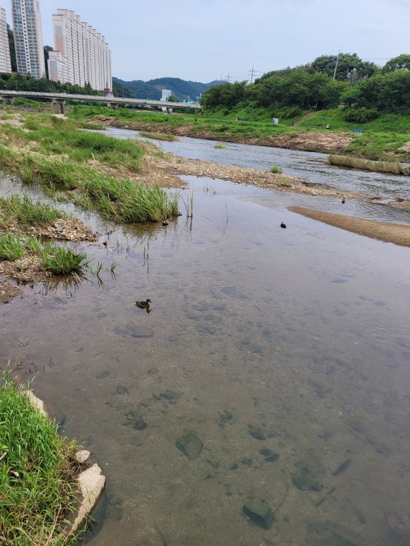 황해수산 이미지