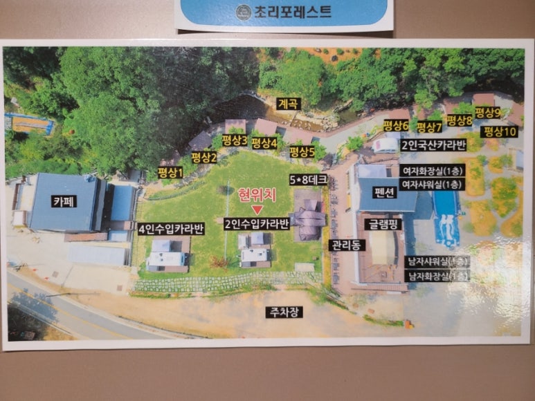 초리포레스트 이미지