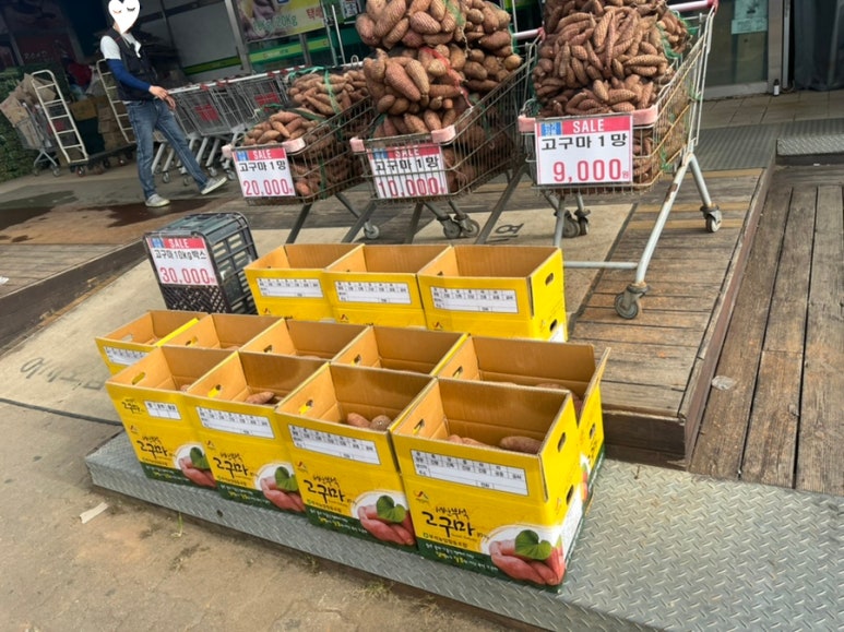 제일청과물마트 이미지