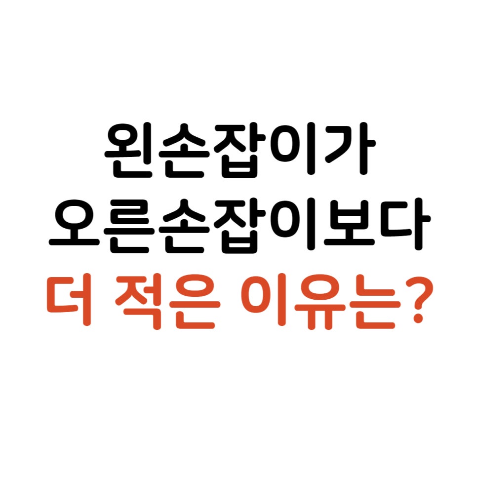 선천가설 이미지