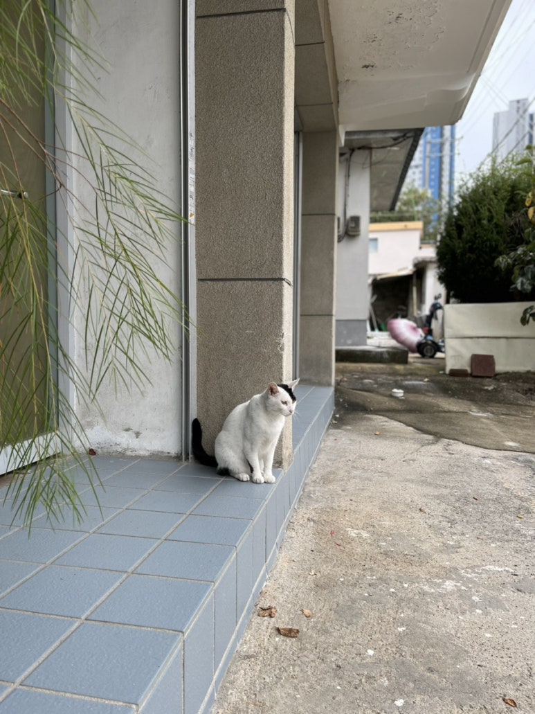 구구커피 이미지