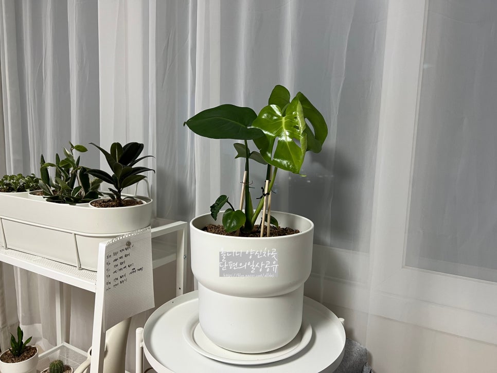 블루에그 이미지