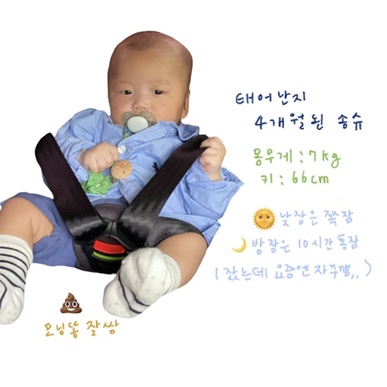 송레코드 이미지