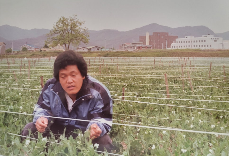 한농종묘 이미지