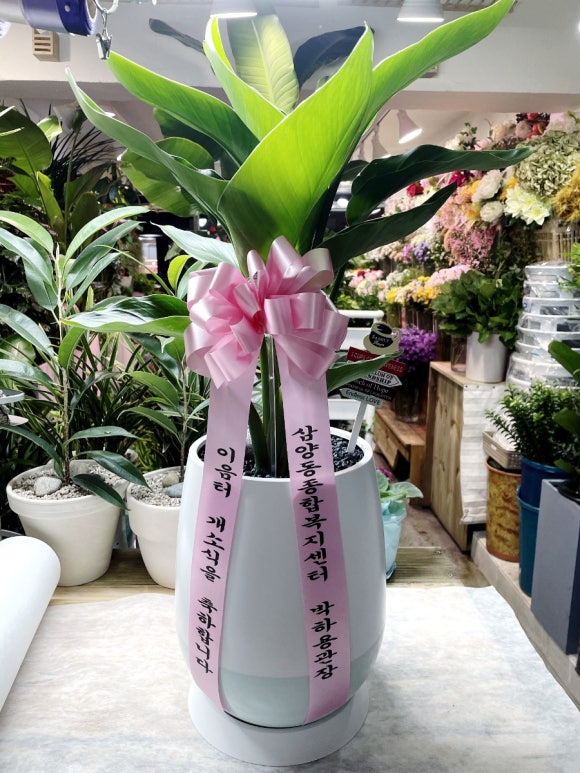 강북화원 이미지