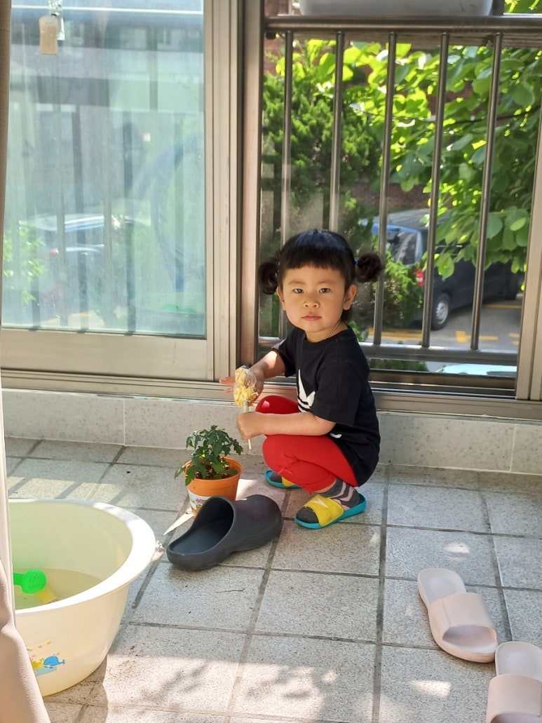 혜진해물찜 이미지