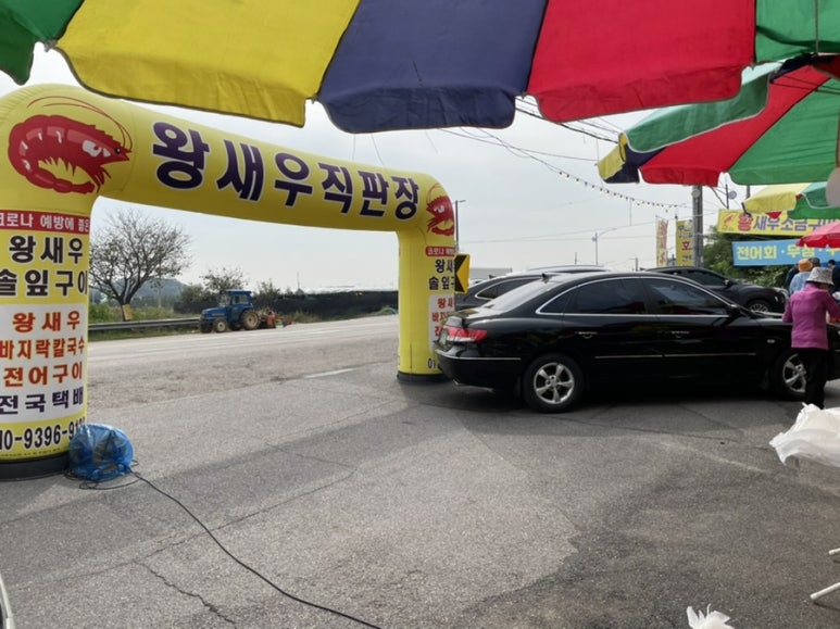 무진장수산활어회센터 이미지
