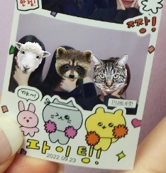 청하상사 이미지