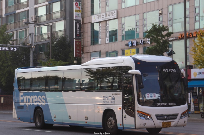 와이드대성 이미지