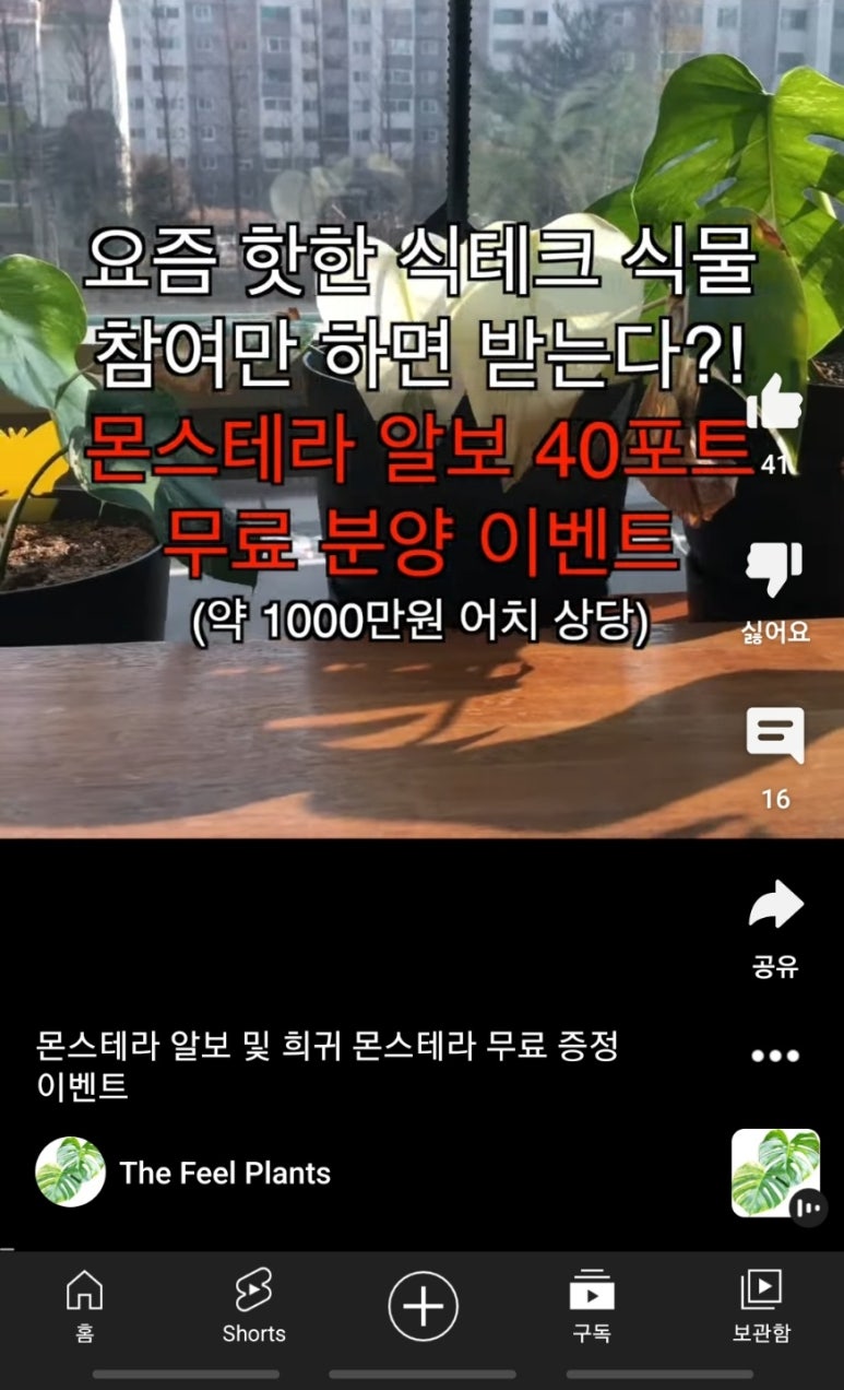 더플랜트 이미지