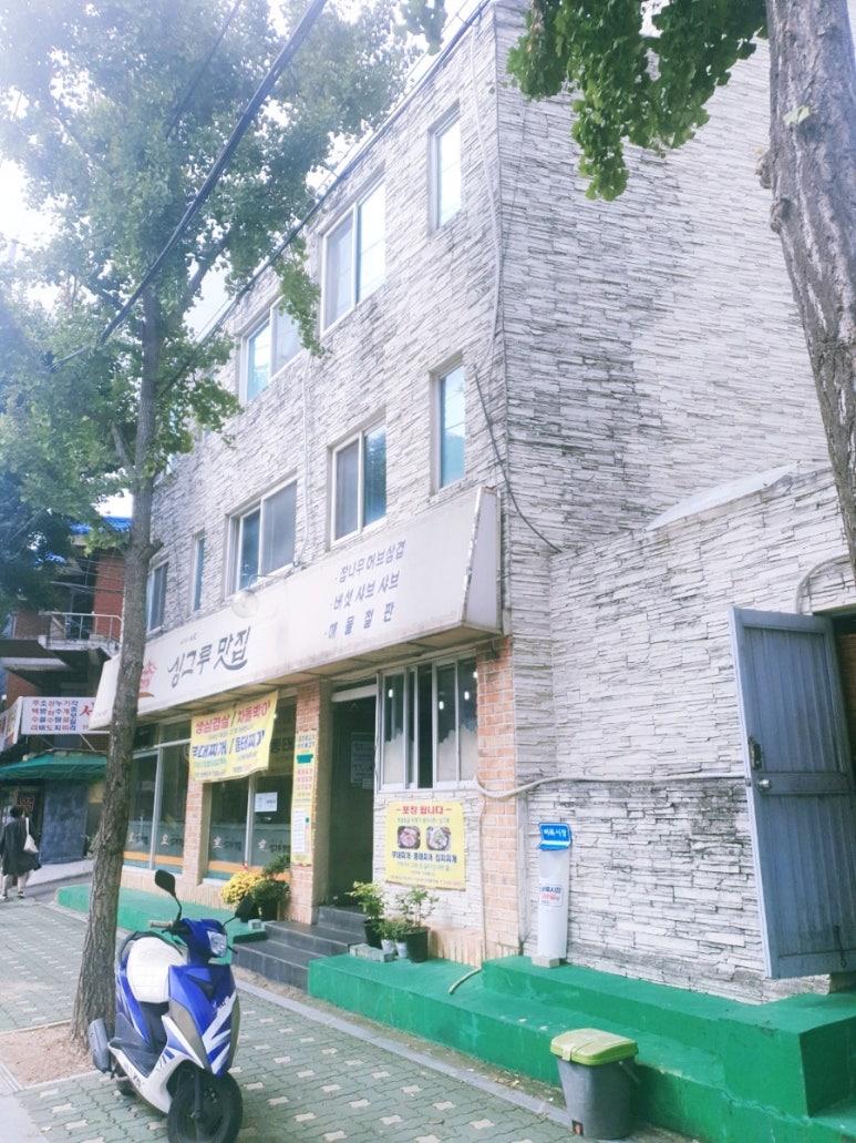 싱그루 이미지