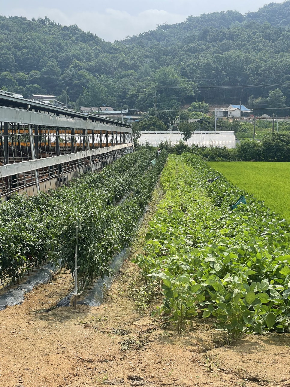 공주농자재 이미지