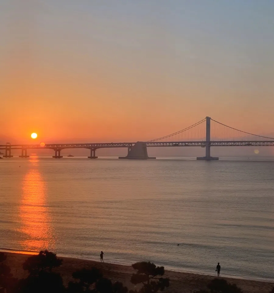 본전상회 이미지