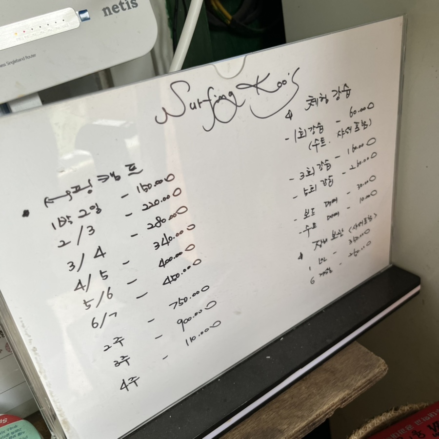 서핑쿠스 이미지