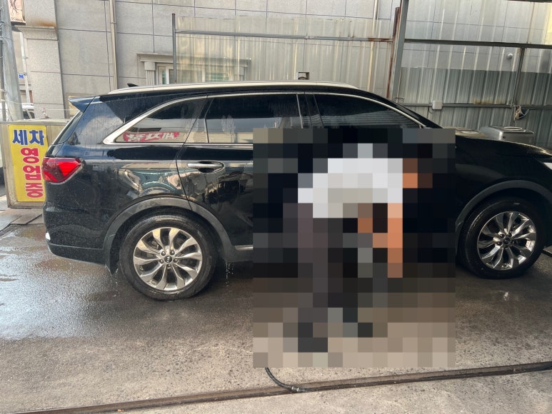 고려덴트칼라 이미지