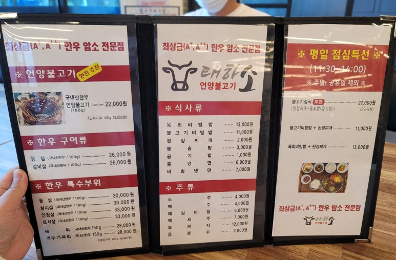 태하돈 이미지