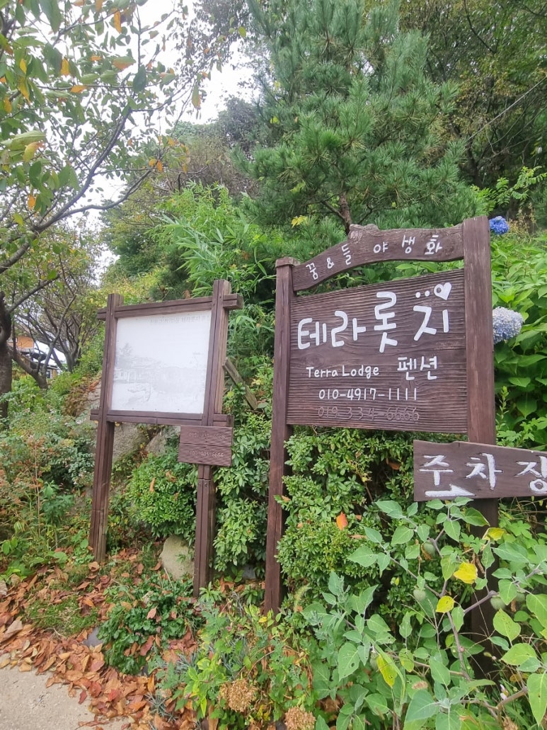 테라롯지 이미지