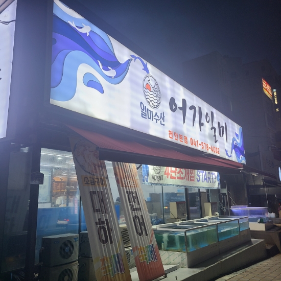 어가일미 이미지