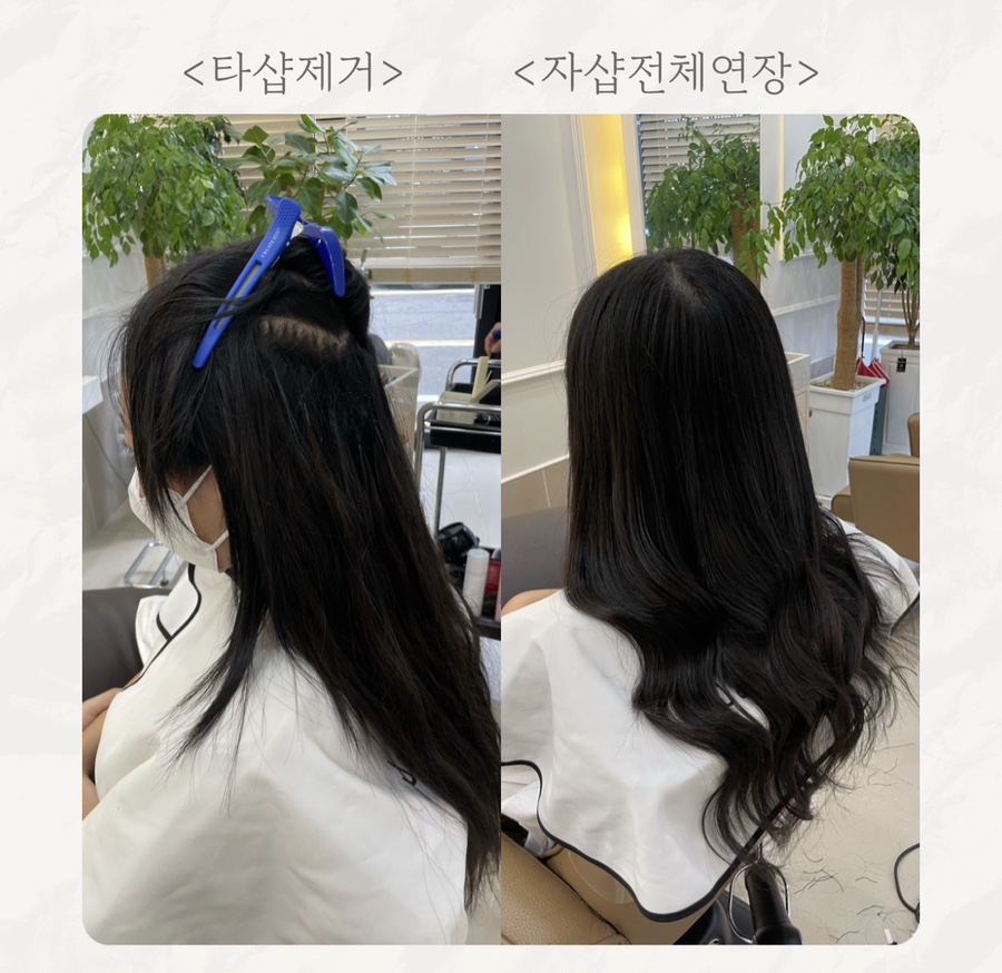 자르딘헤어 대구붙임머리 이미지