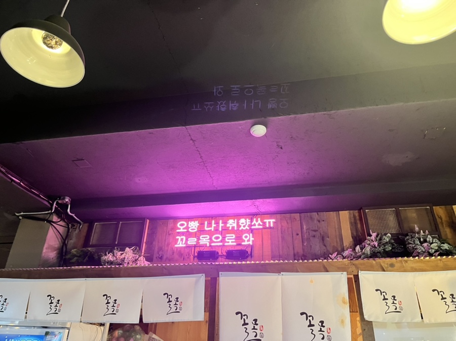 산호포차 이미지