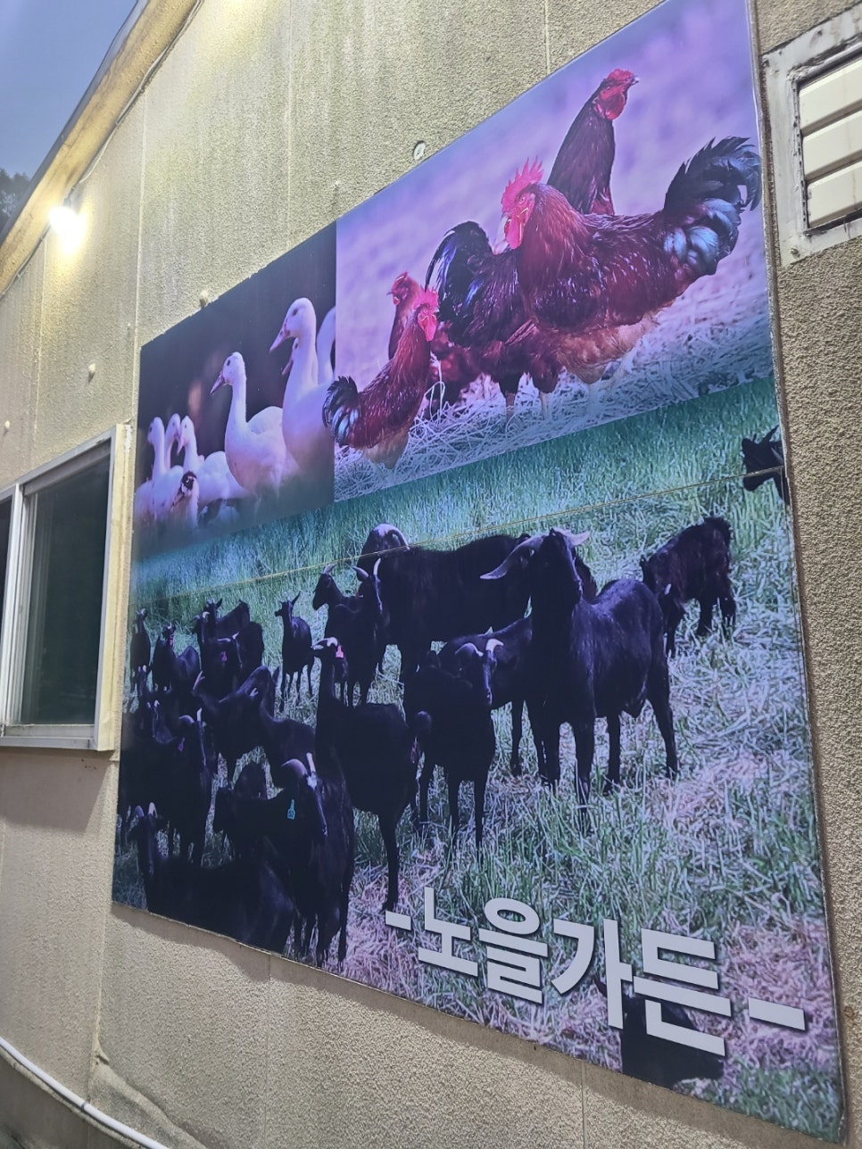 노을백숙 이미지