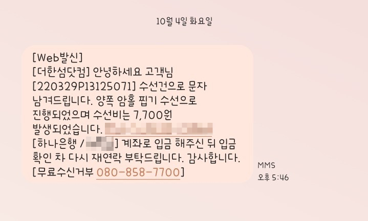 한섬수선 이미지