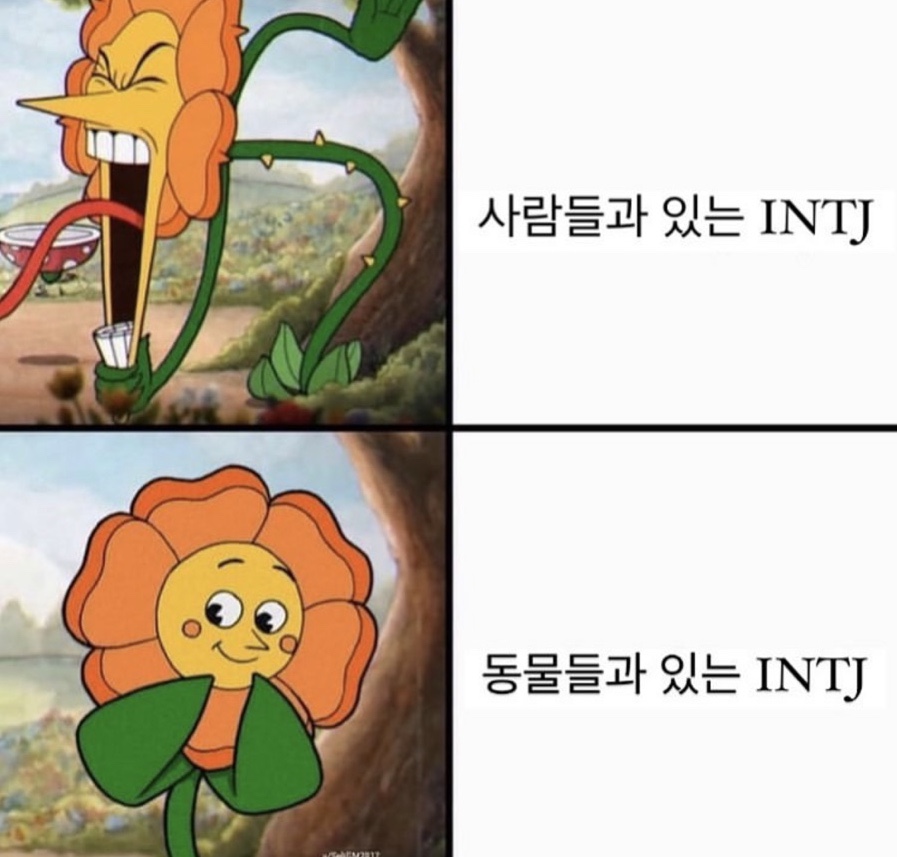 안녕하새우 이미지