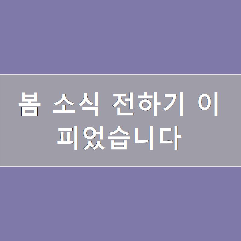 봄;꽃이피다 이미지
