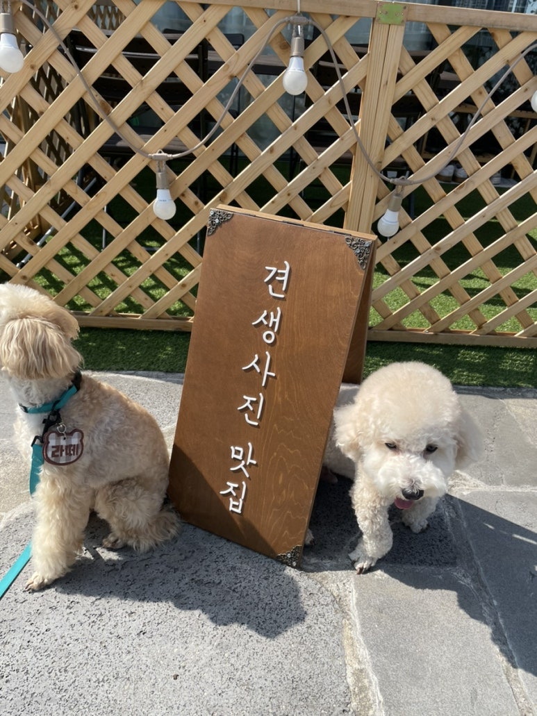 리을사진관 이미지