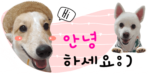 라라왁싱 이미지