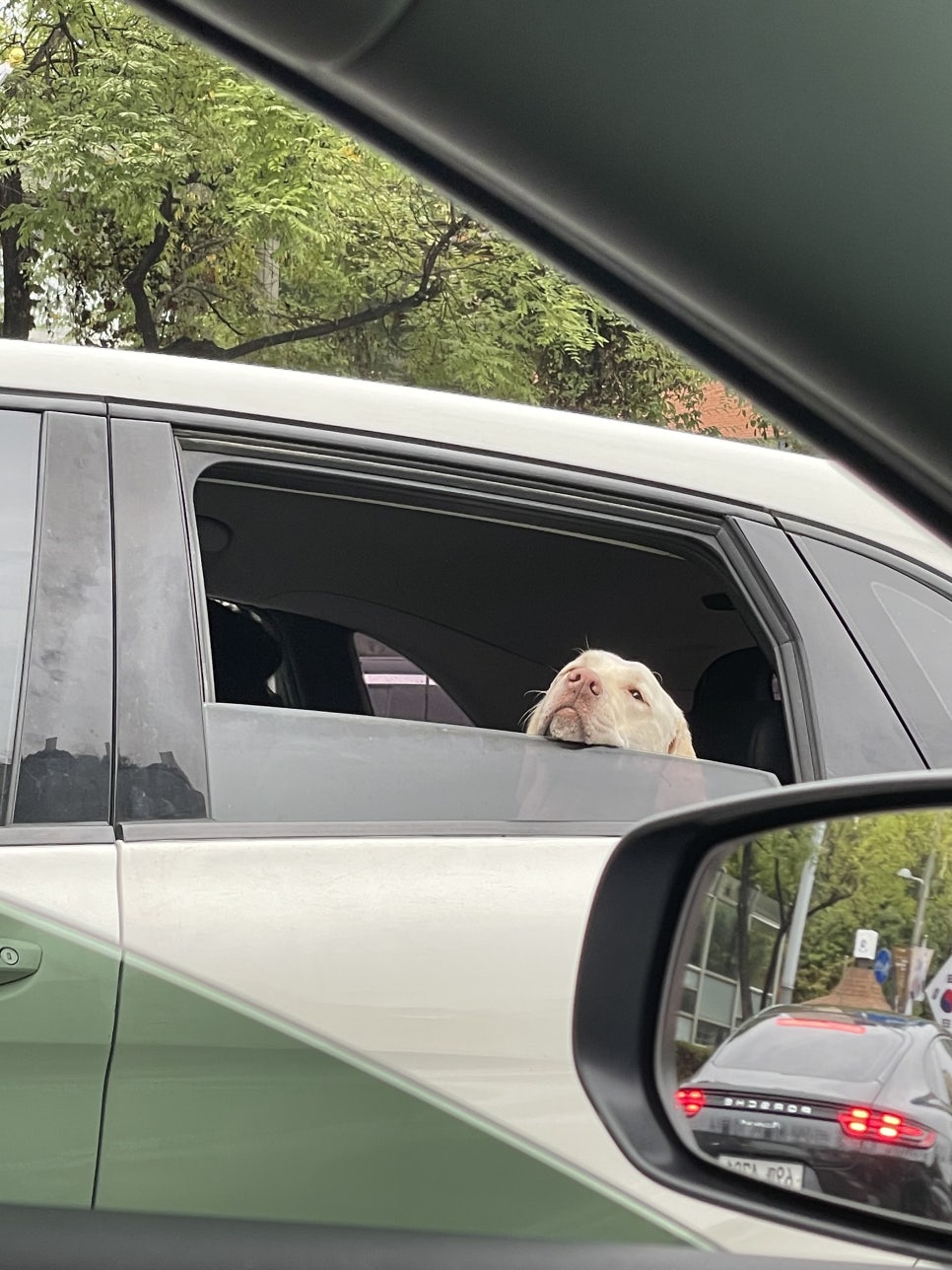 유니카페 이미지