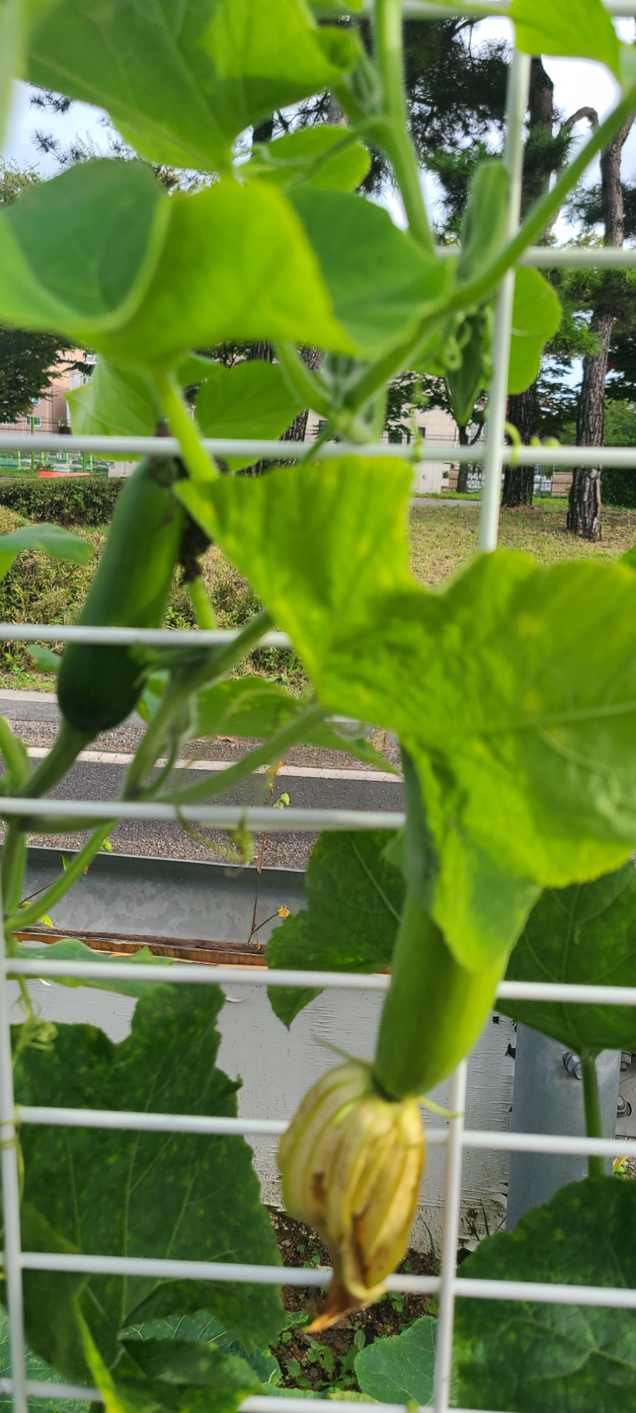 가나안인력 이미지