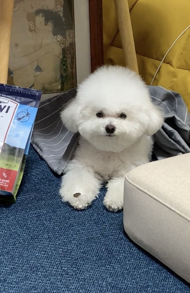 유일청정생고기 이미지