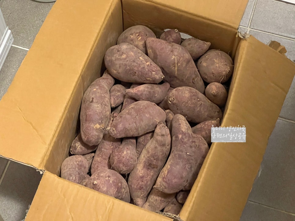 블루에그 이미지