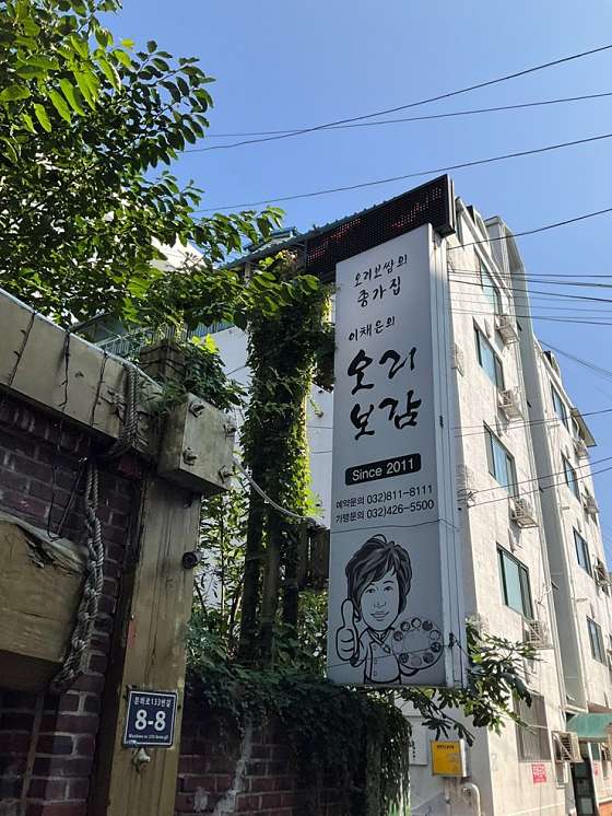 오리보감 이미지