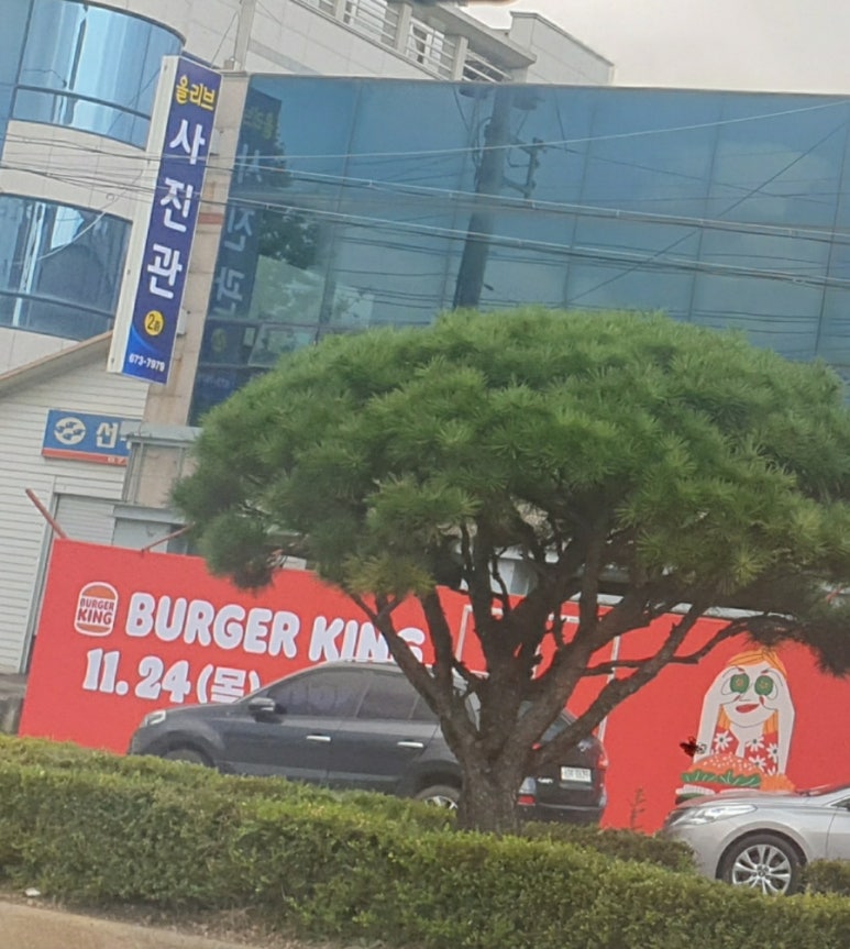 버거킹태안 이미지