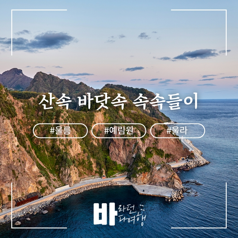 바닷속나드리 이미지