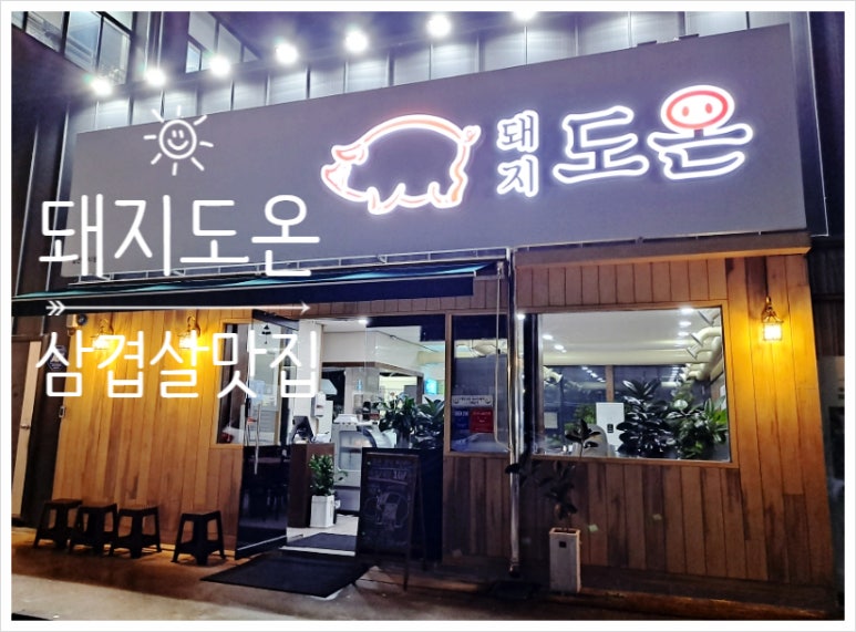 돼지도온 이미지