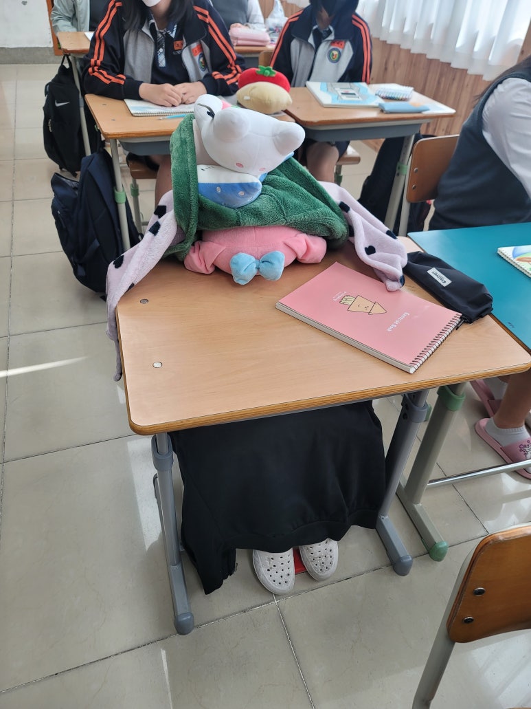양*종 이미지