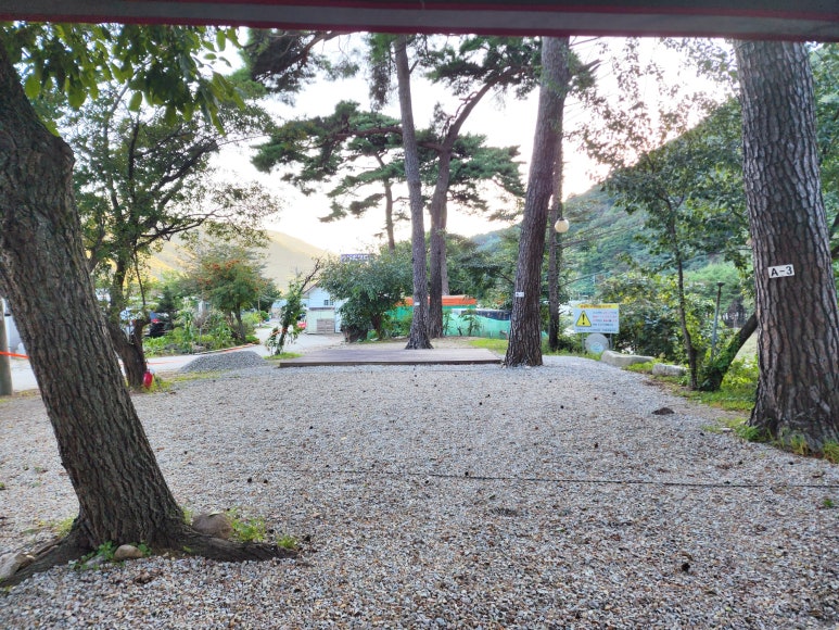 돌배야영장제1야영장 이미지